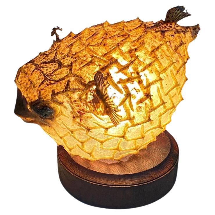 Tischlampe mit einem antiken Exemplar aus natürlicher Taxidermie aus Porcupinefisch im Angebot