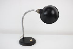 Table Lamp with Flexible Shade, 1940s