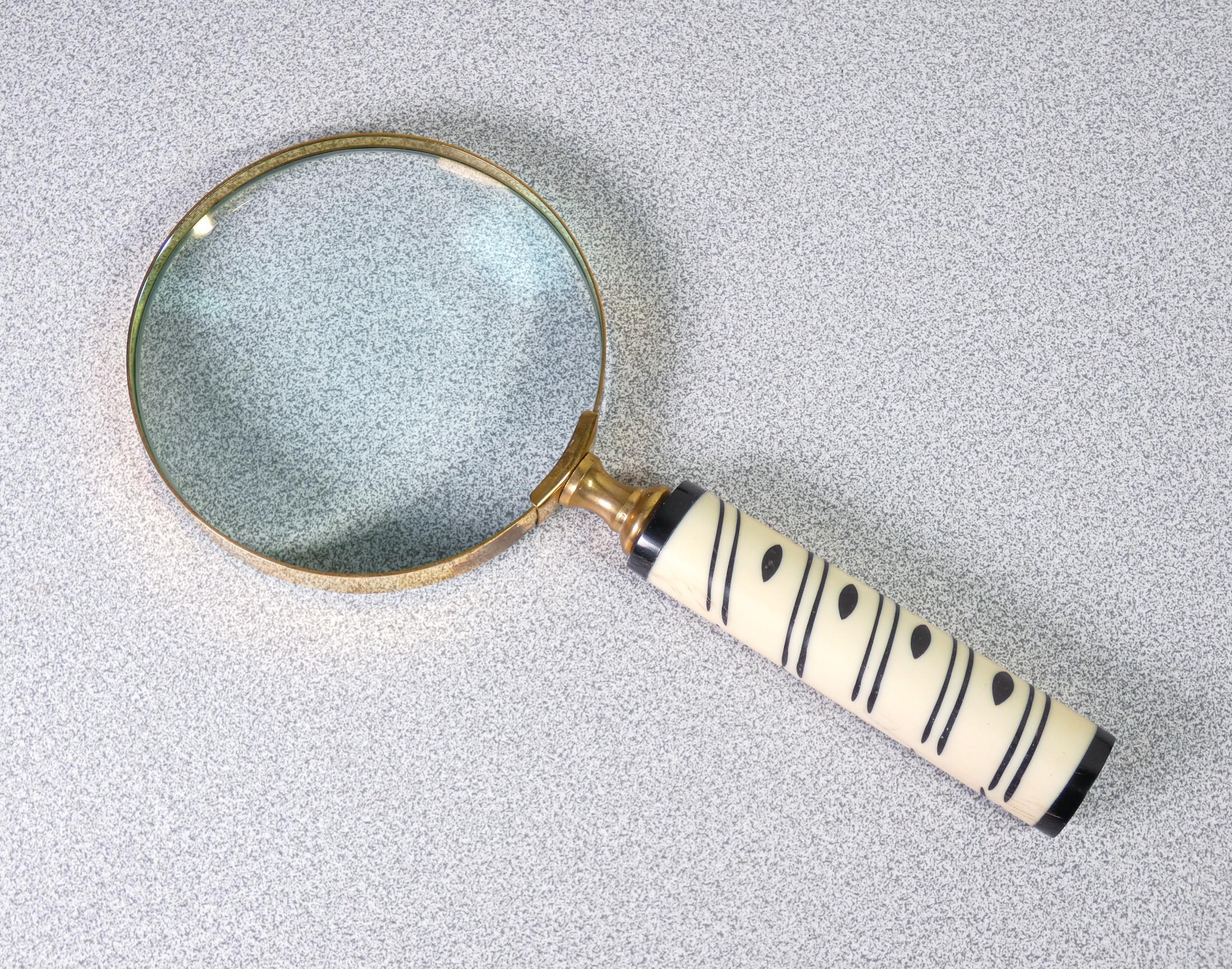 20th Century Table Magnifier, with Bone Handle, Case in Wood, Italy For Sale