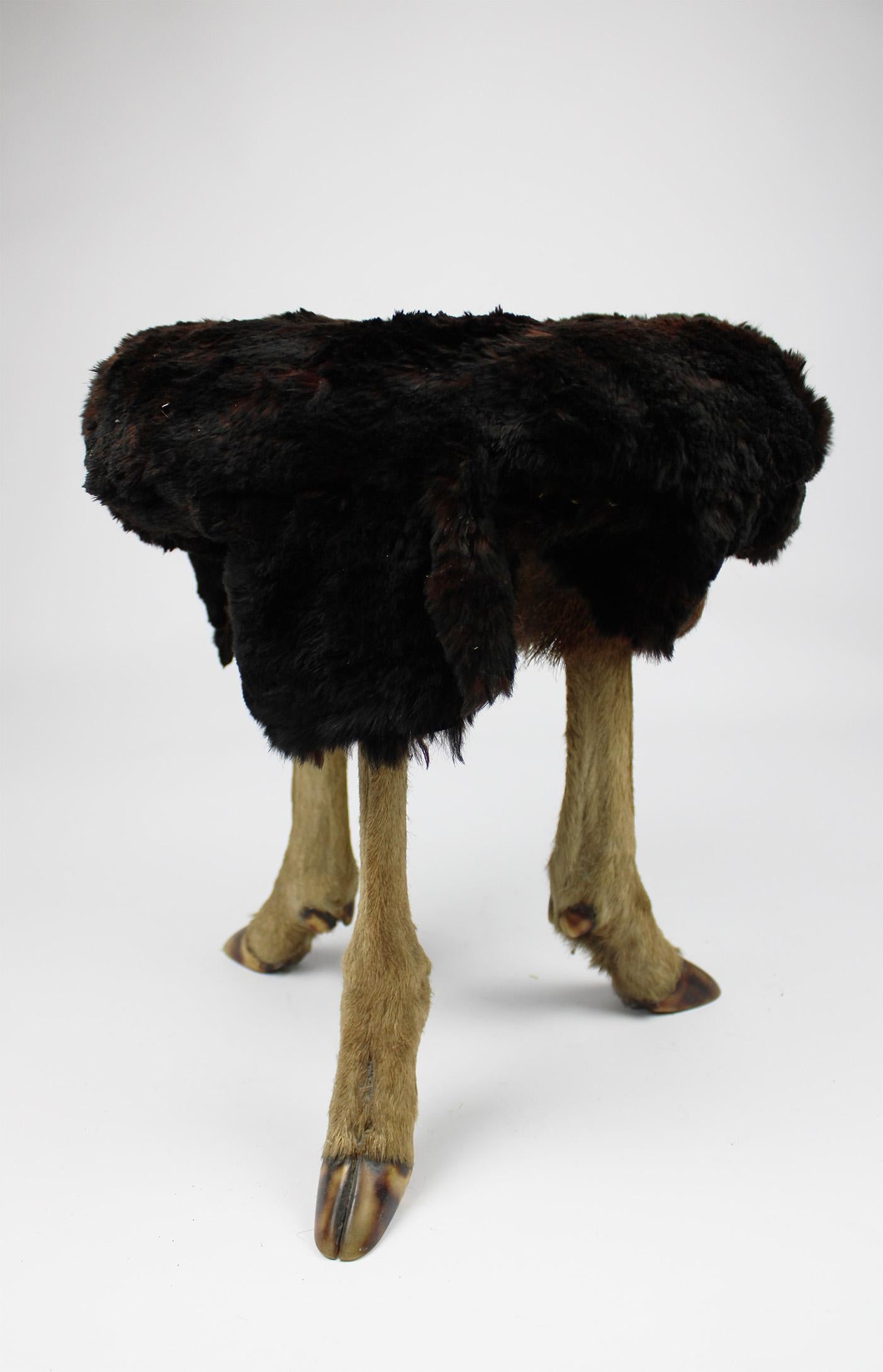 This amazing tabouret is a unique piece that is handmade and upholstered with beaver fur. The legs of this stool come from a deer that served as a hunting trophy in the late 1970s in France. The combination with the beaver fur laid out makes this