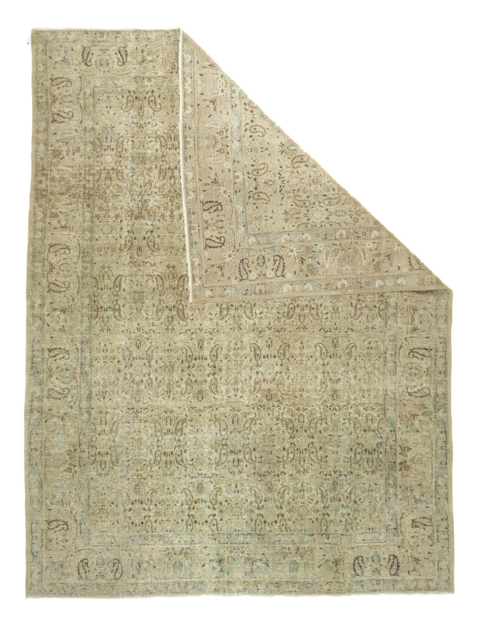Tapis Tabriz 8'8'' x 11'7''. Cette pièce de couleur claire, bien tissée, de format ROOMS, présente des rangées de botehs quadruples dans des tons bruns. Botehs semblables, paires et barbelés, dans la bordure de sable et de paille. Pile courte et