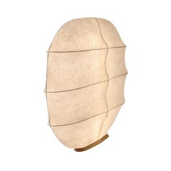 Tacchini Gunta Floor Lamp by Studiopepe in STOCK