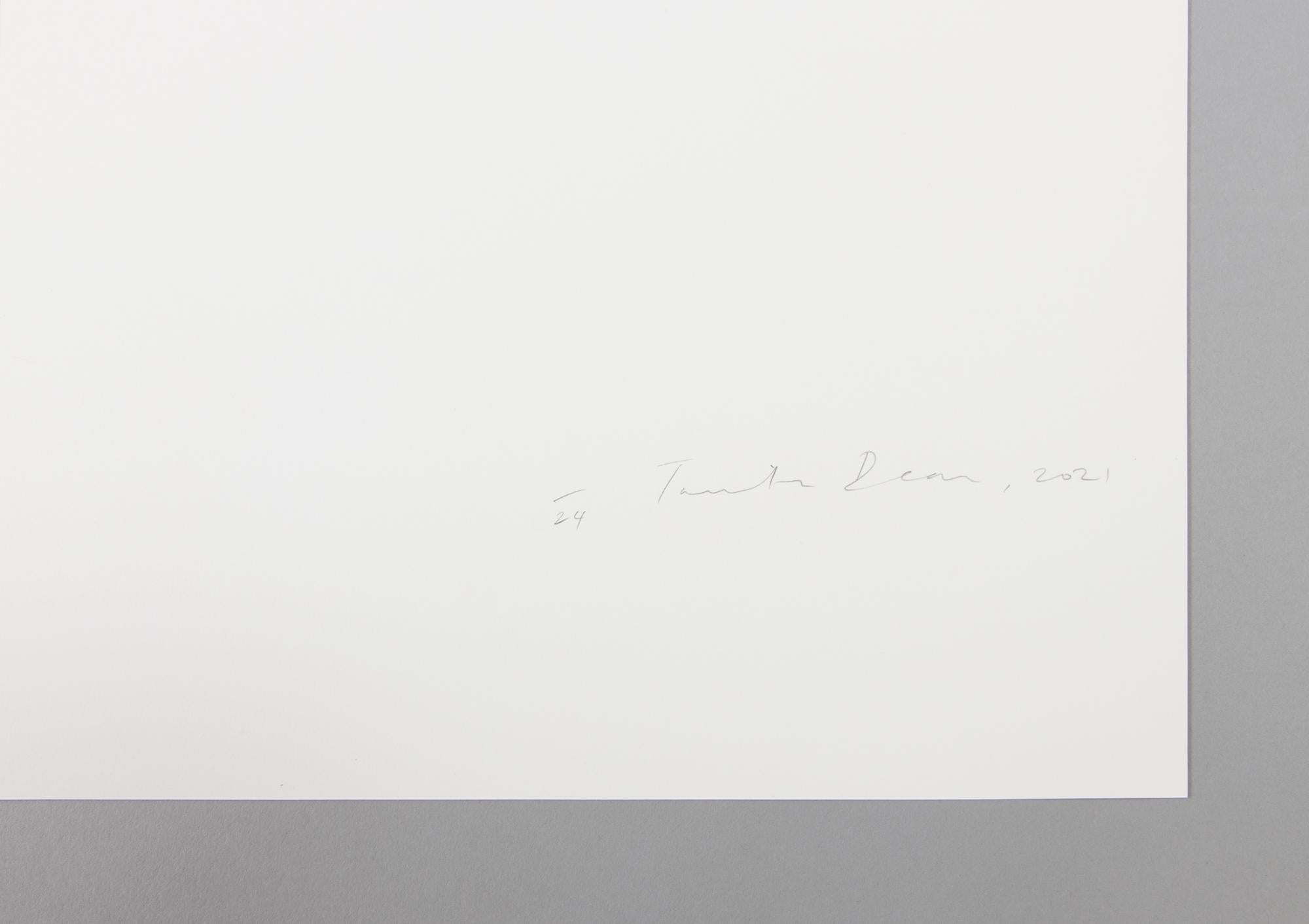 Tacita Dean: La Puerta del Diablo - Stampa firmata, Fotografia contemporanea 2