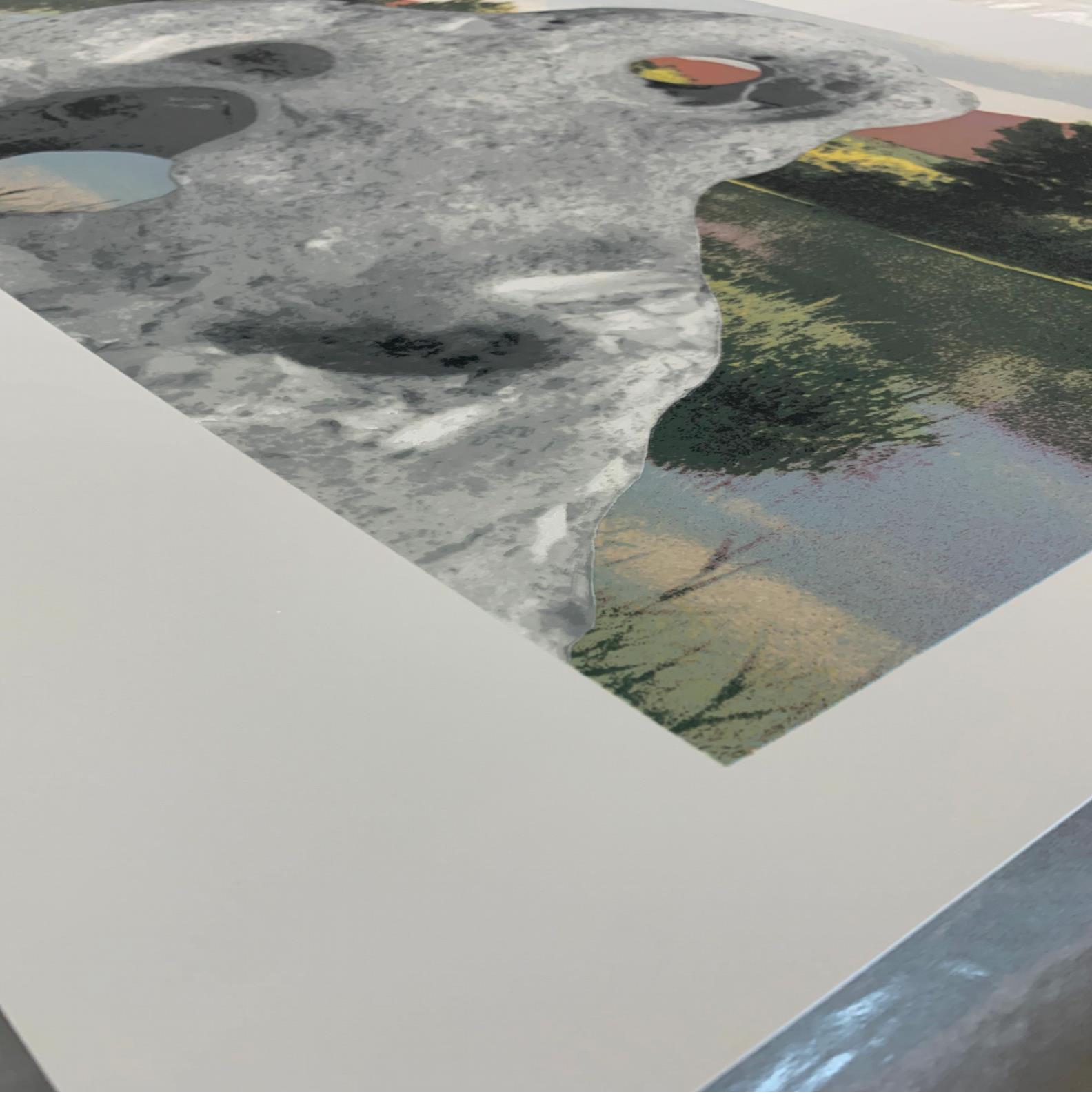 Un insieme organizzato - Arte contemporanea, 21° secolo, Paesaggio, Contemporaneo - Figurative Print Grigio di Tacita Dean