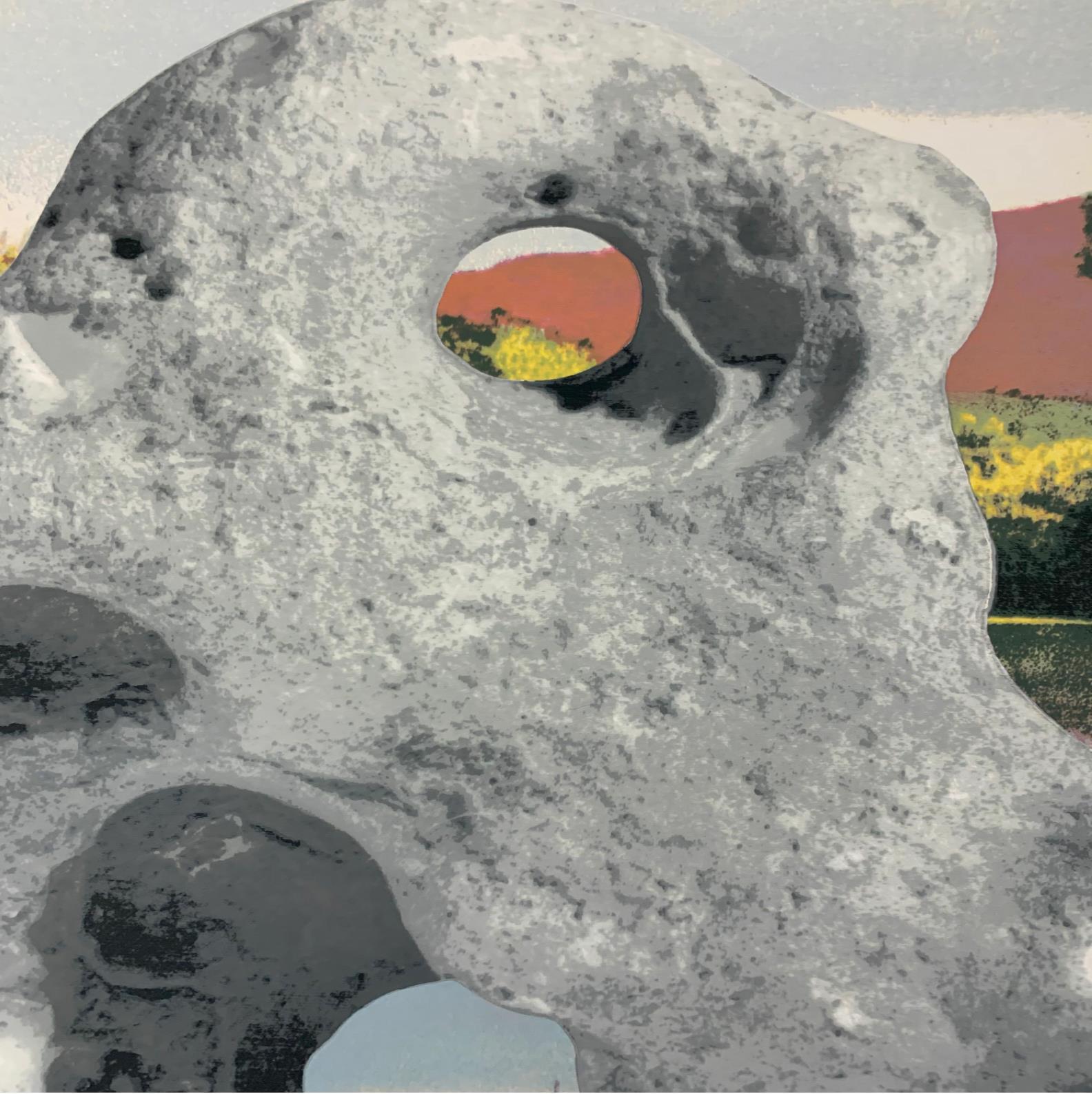 Un insieme organizzato - Arte contemporanea, 21° secolo, Paesaggio, Contemporaneo - Print di Tacita Dean