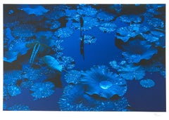 Le lotus bleu, Japon, photographie japonaise contemporaine en couleur, signée par l'artiste