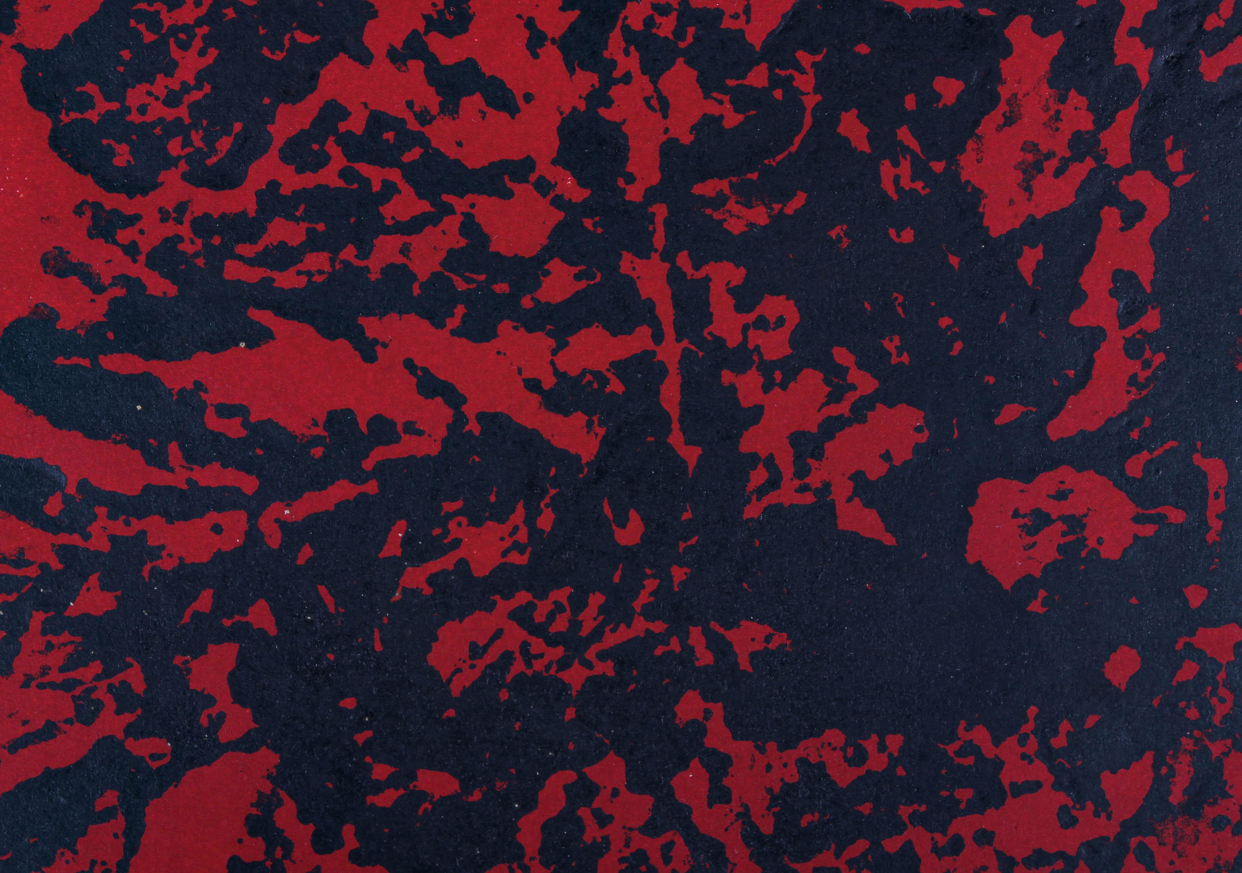 Tadek Beutlich (1922-2011) - Sérigraphie du milieu du 20e siècle, rivière rouge 4