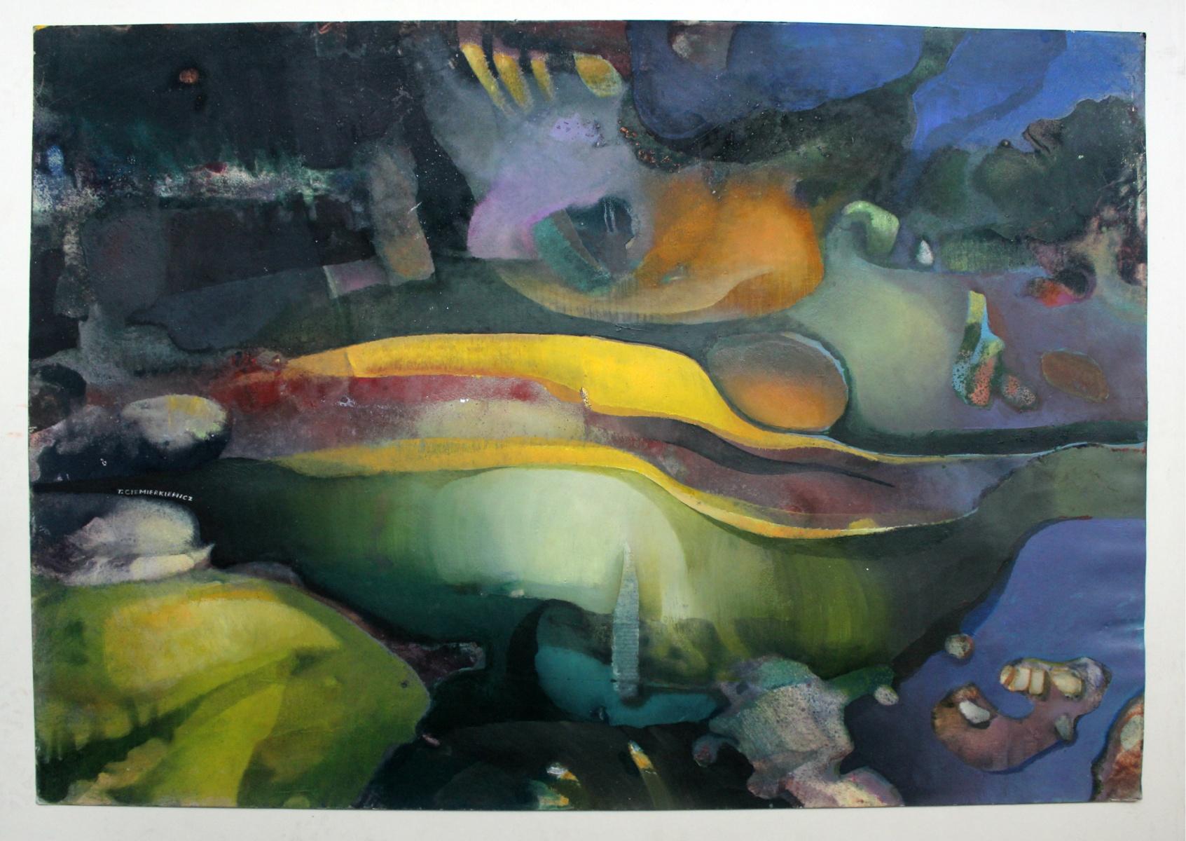 Quadro astratto contemporaneo a tecnica mista su carta dell'artista polacco Tadeusz Ciemierkiewicz. La pittura è dinamica grazie all'abbondanza di colori e alle forme. L'opera d'arte proviene dal ciclo 