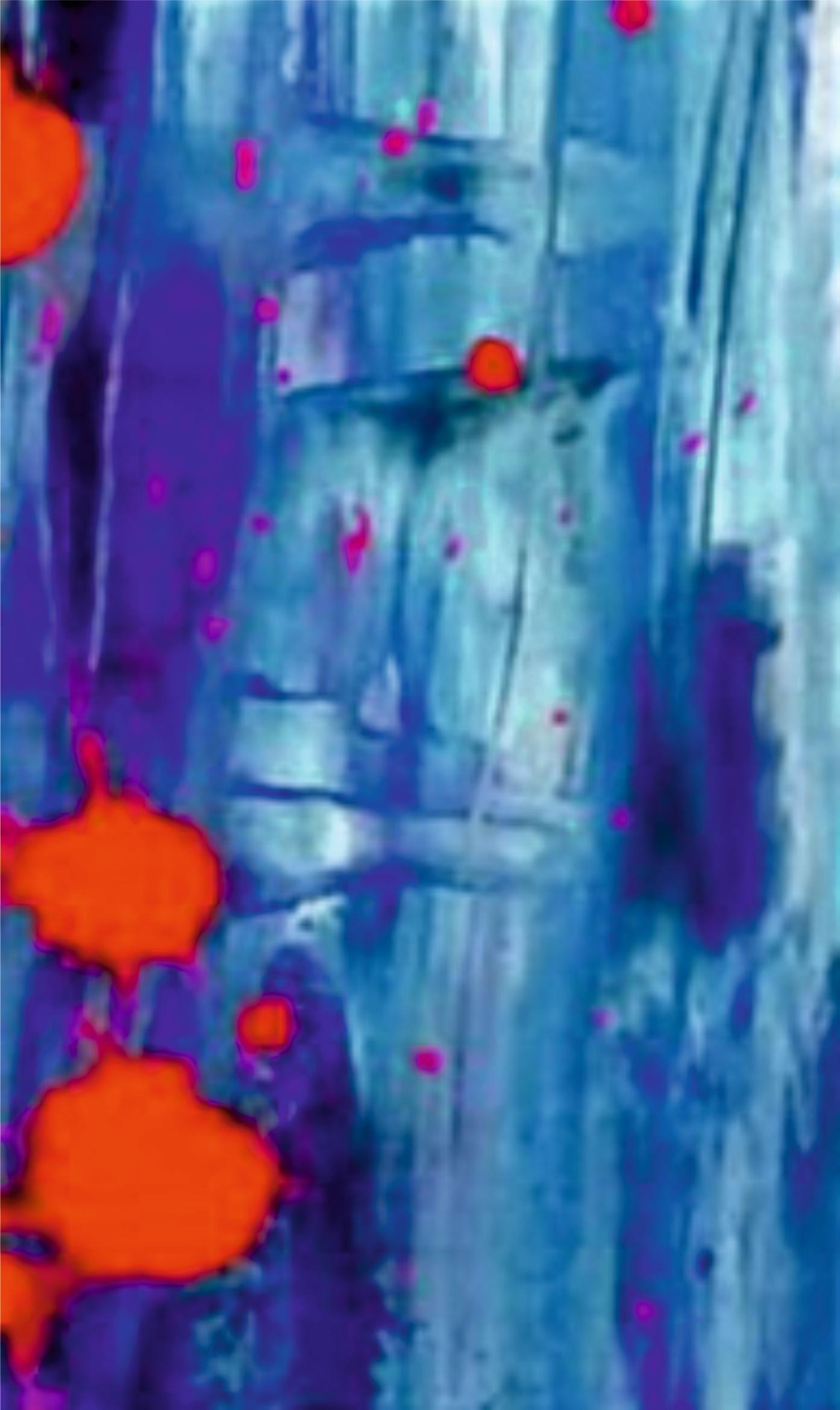 Blue and Red / Acrylic on board / 100 x 70 cm - Abstract Expressionist Painting by Tadeusz Zych