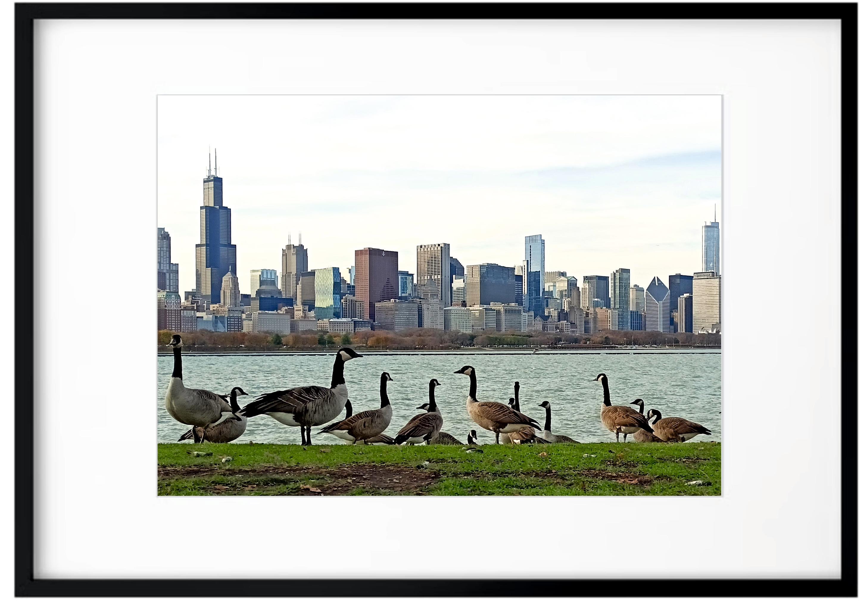 Chicagoer Gänse – Painting von Tadeusz Zych