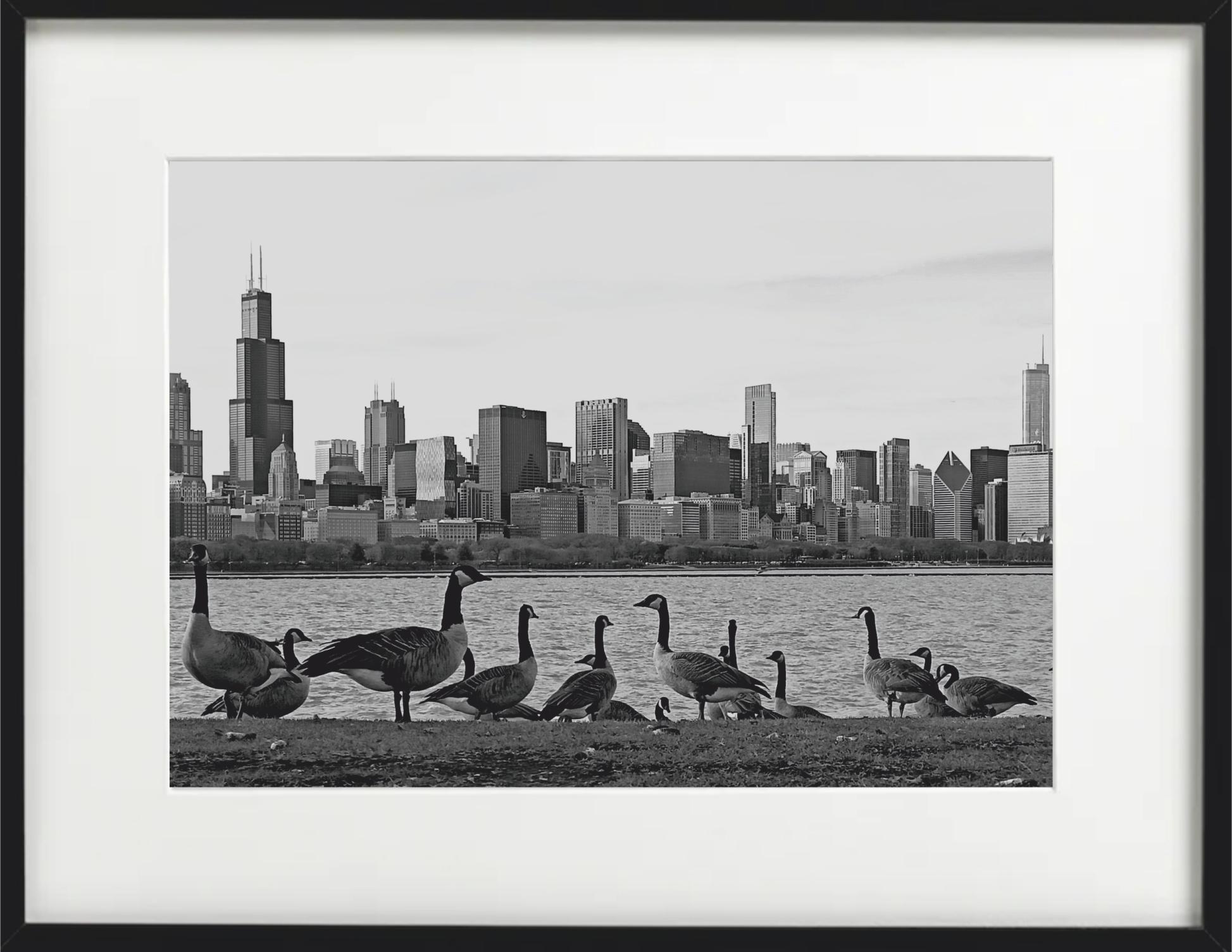 Chicago I - Photograph by Tadeusz Zych