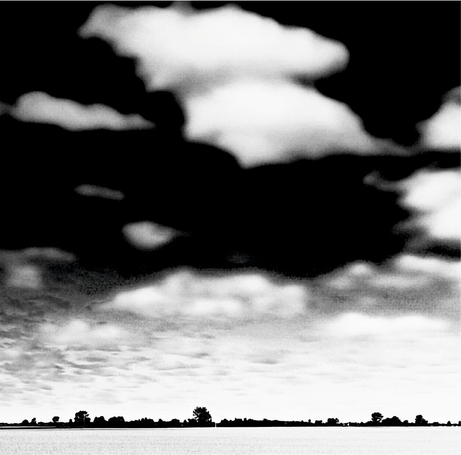 Cotton Plantation - Photorealist Photograph by Tadeusz Zych