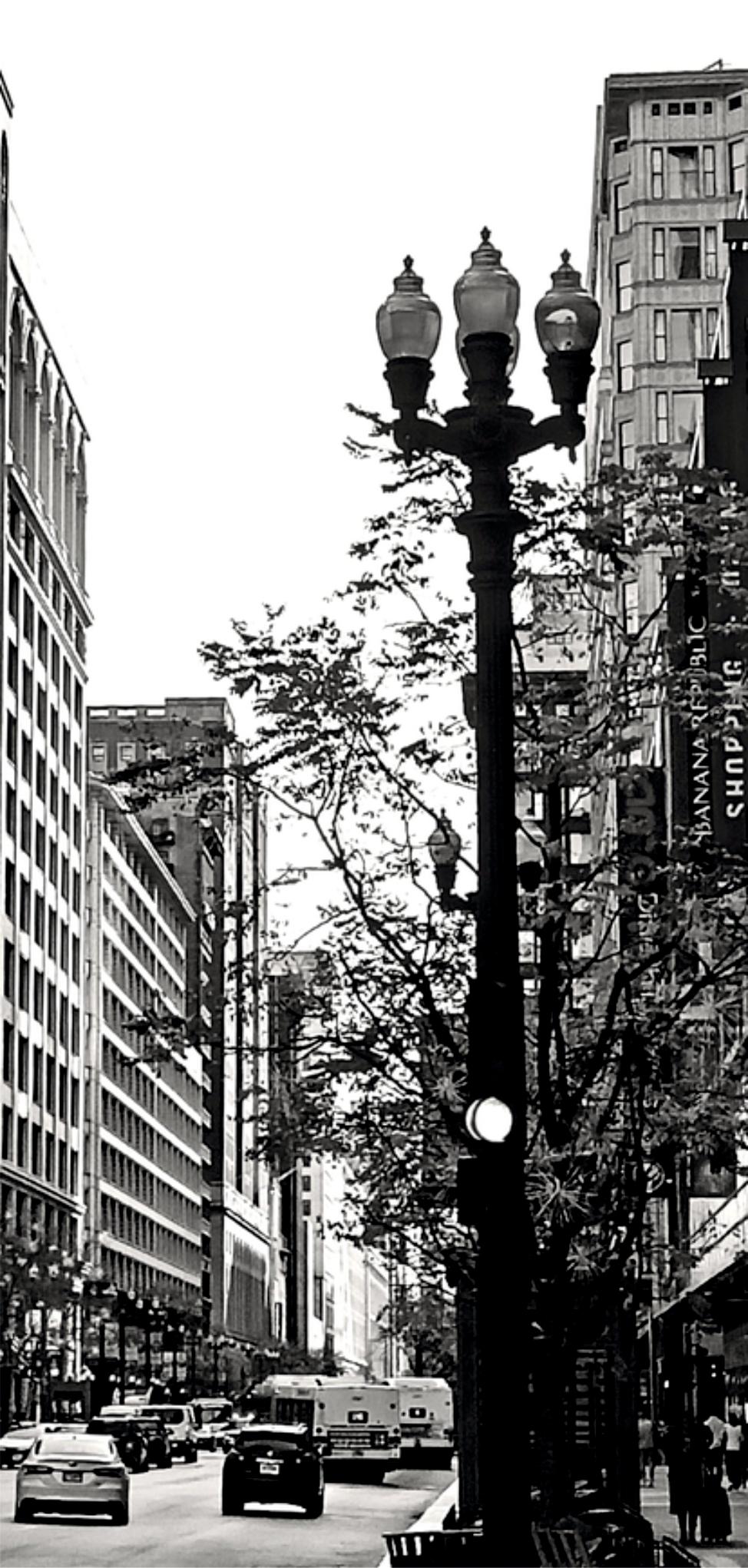 Muddy Waters a NY - Black and White Photograph Nero di Tadeusz Zych