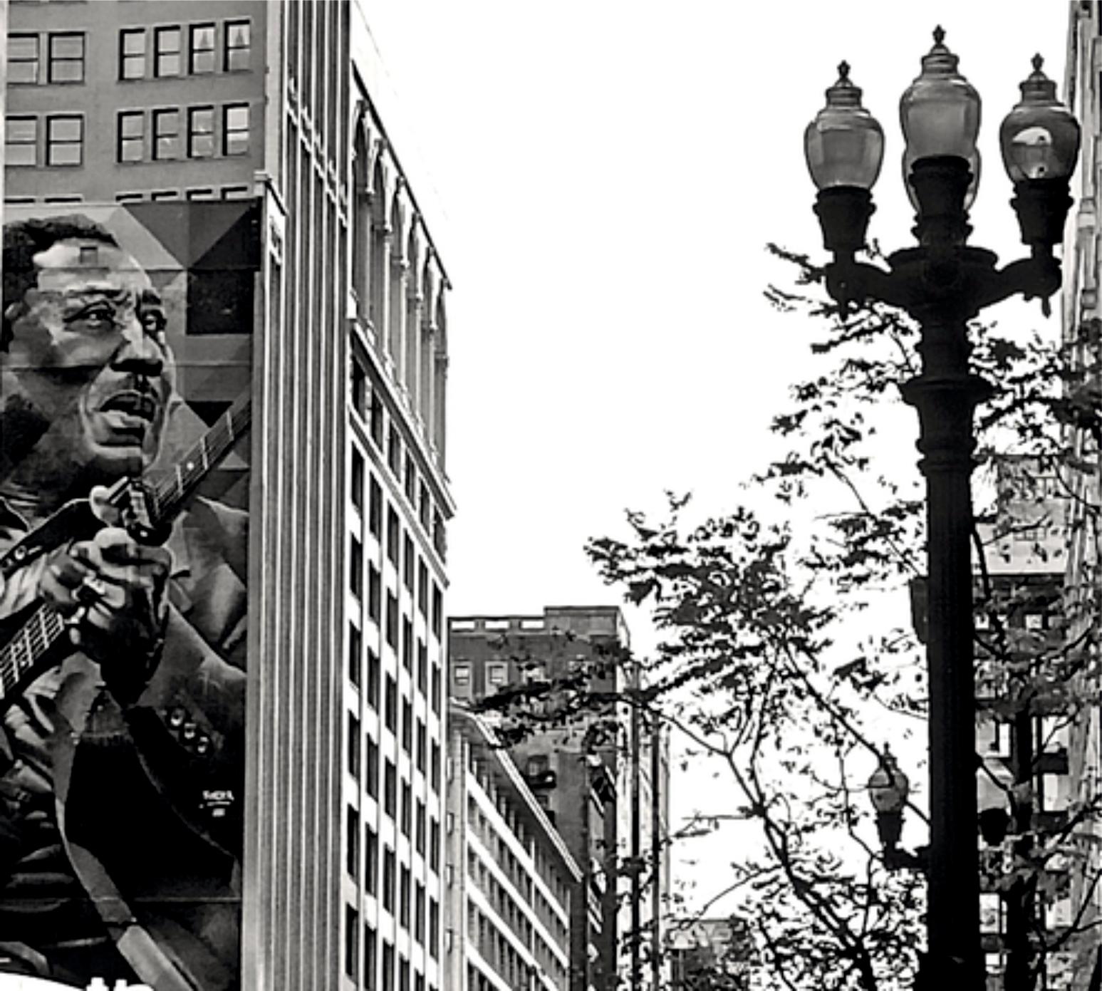 Muddy Waters a NY in vendita 1