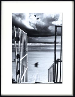 Ombres sur la plage de Daytona