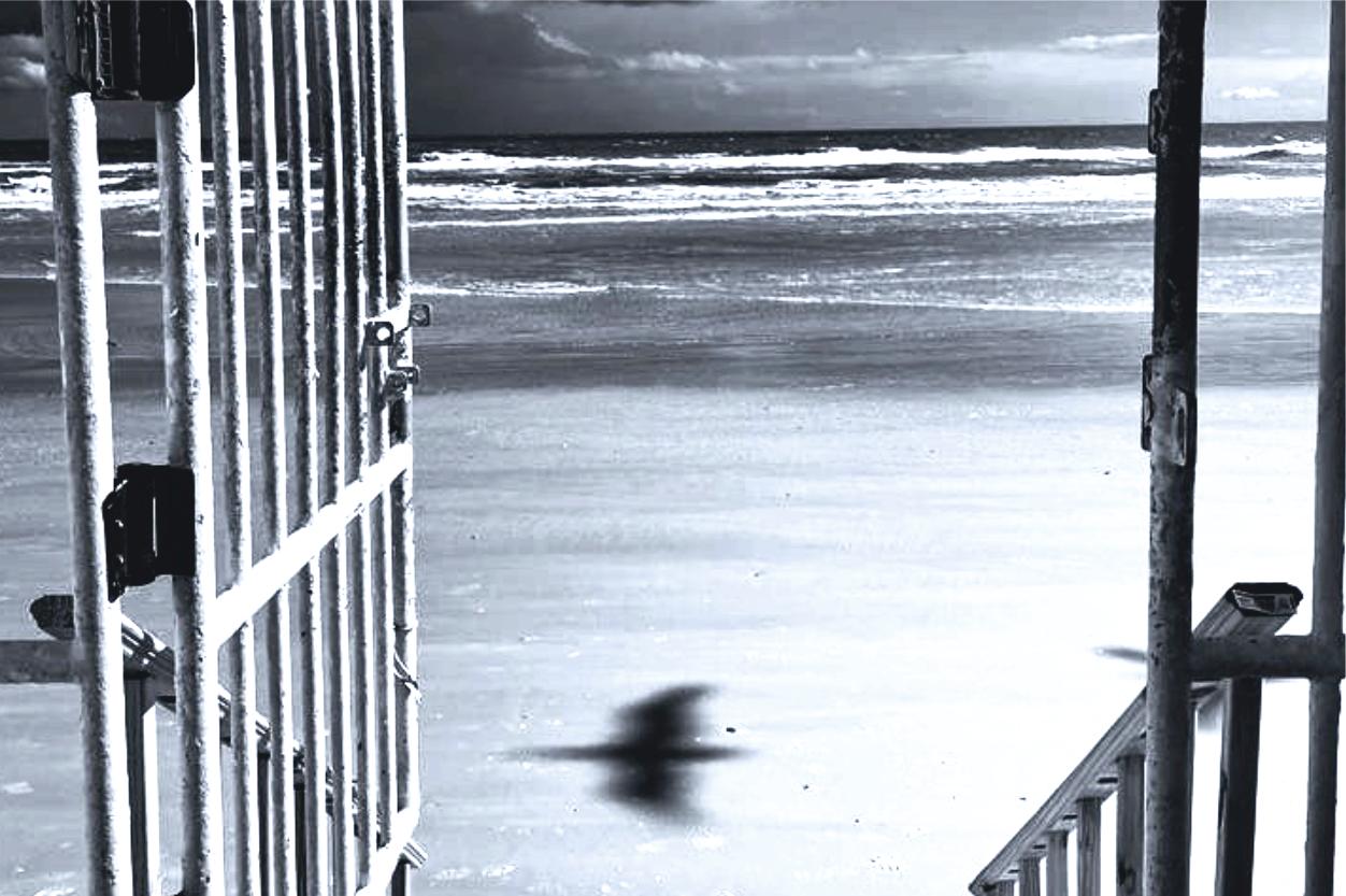 Shadow on Daytona Beach - Photorealist Photograph by Tadeusz Zych