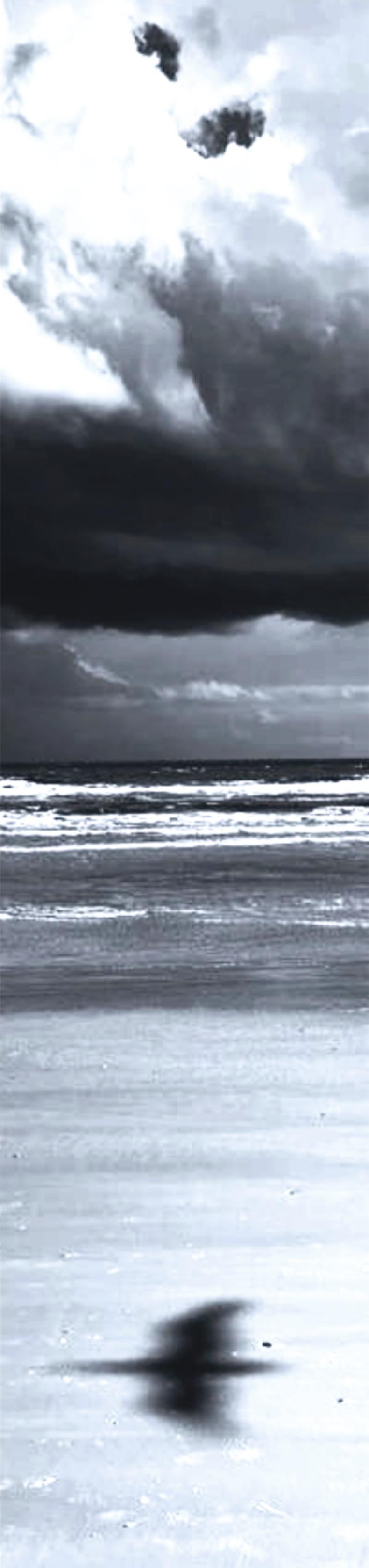 Schatten am Strand von Daytona (Grau), Black and White Photograph, von Tadeusz Zych