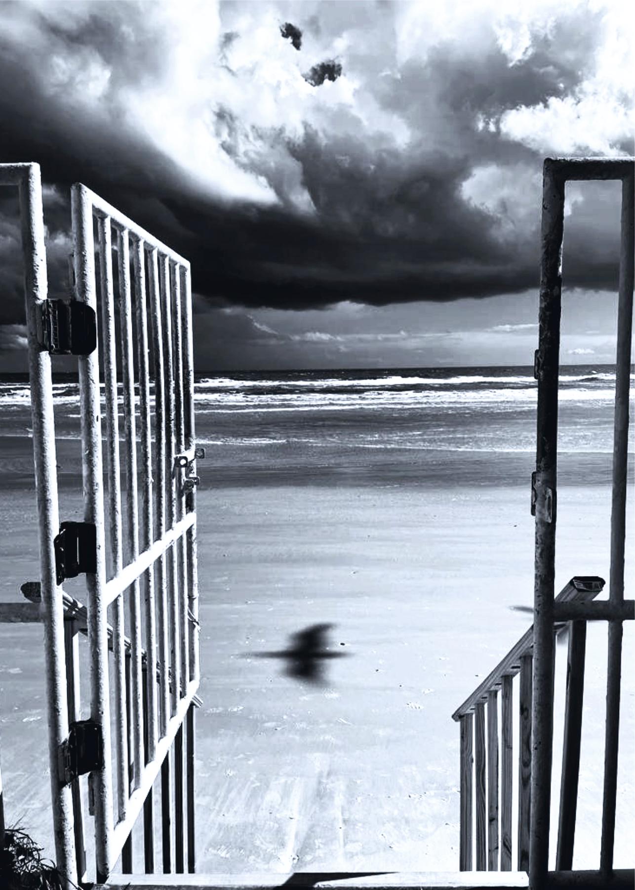 Tadeusz Zych Black and White Photograph - Shadow on Daytona Beach