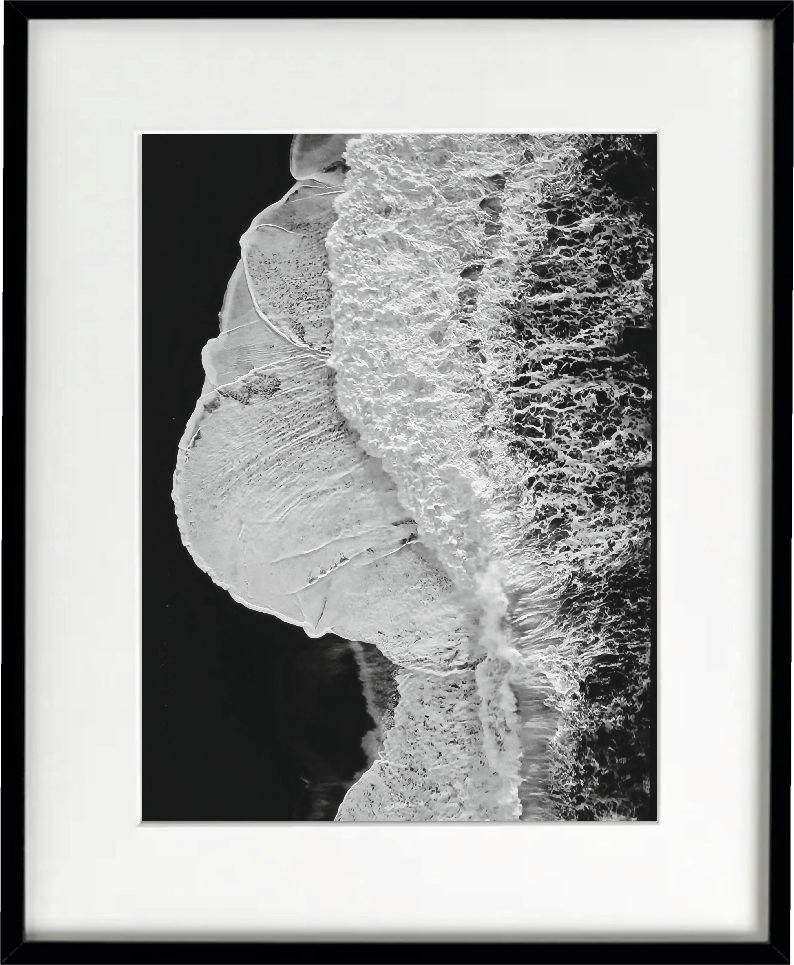 Whiting - Photograph de Tadeusz Zych