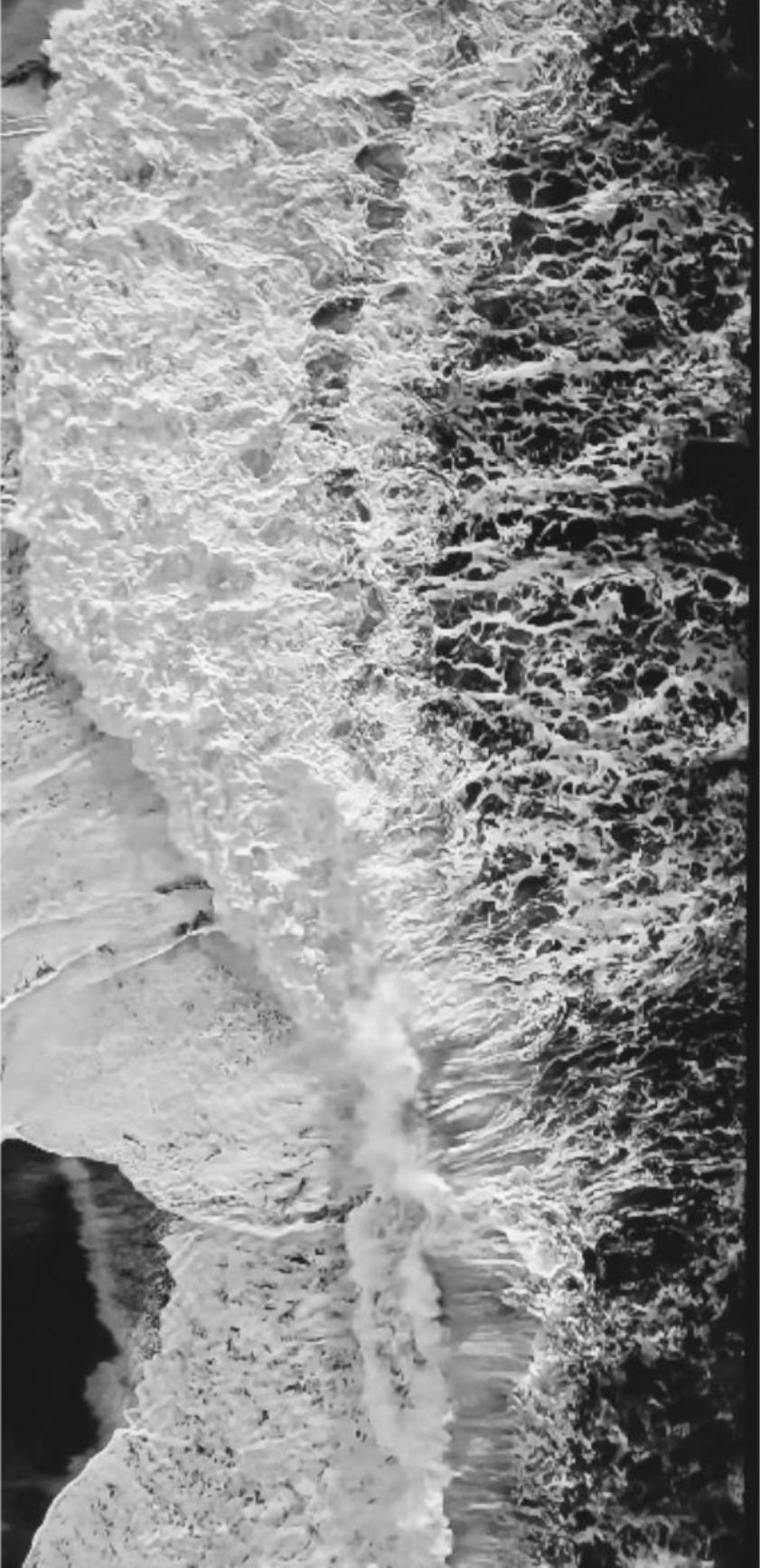 Whiting - Gris Black and White Photograph par Tadeusz Zych