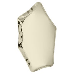 Tafla C5 Polished Stainless Steel Light Gold Color Wall Mirror by Zieta