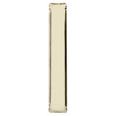 Tafla IQ Polished Stainless Steel Light Gold Color Wall Mirror by Zieta