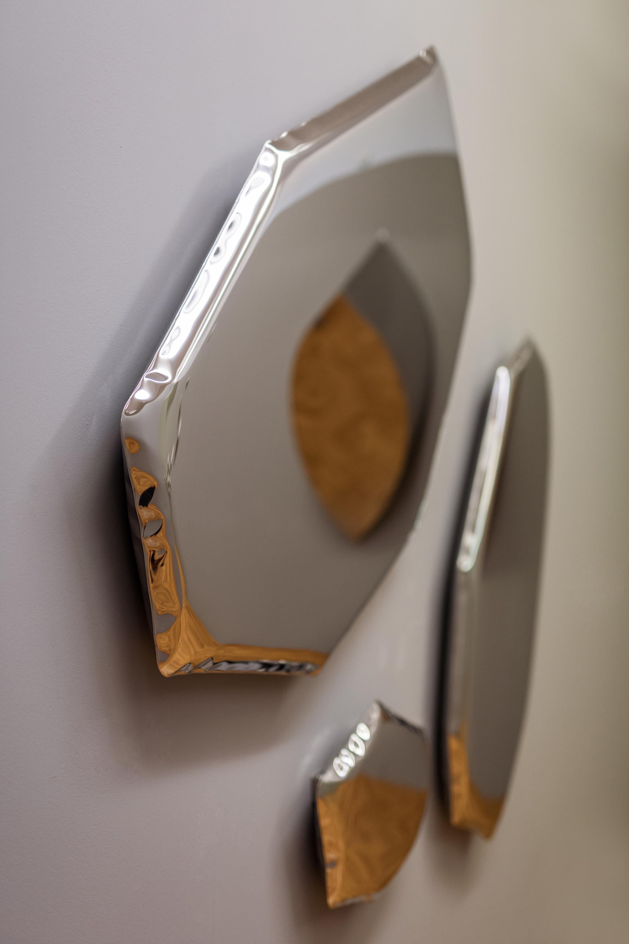 Organic Modern Tafla Mirrors 'Constellation C 3.01' by Zieta, Polished Stainless Steel For Sale