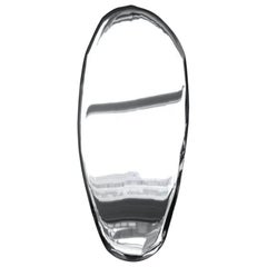 Tafla O1 Polished Stainless Steel Wall Mirror by Zieta