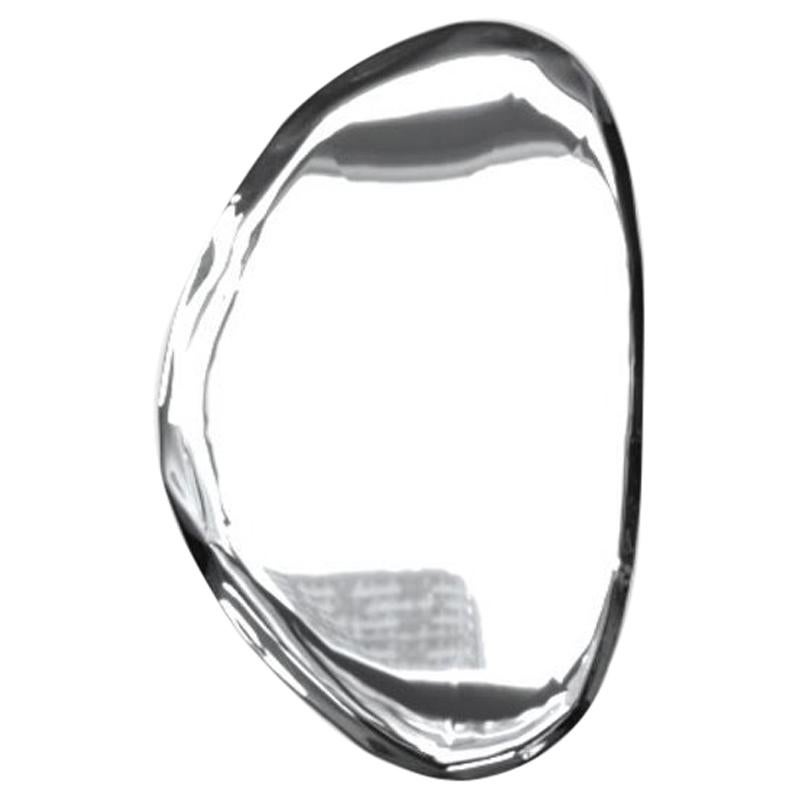 Tafla O3 Polished Stainless Steel Wall Mirror by Zieta