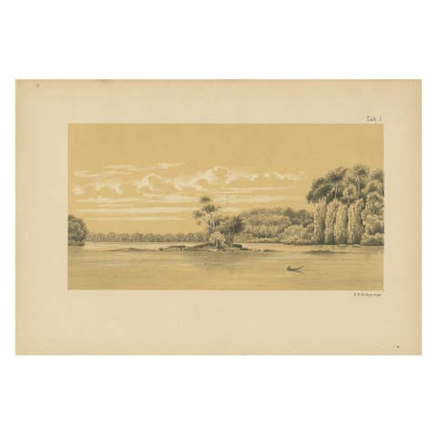 Tafra Island in Suriname - A Romantic River Landscape by Karl Martin, 1888