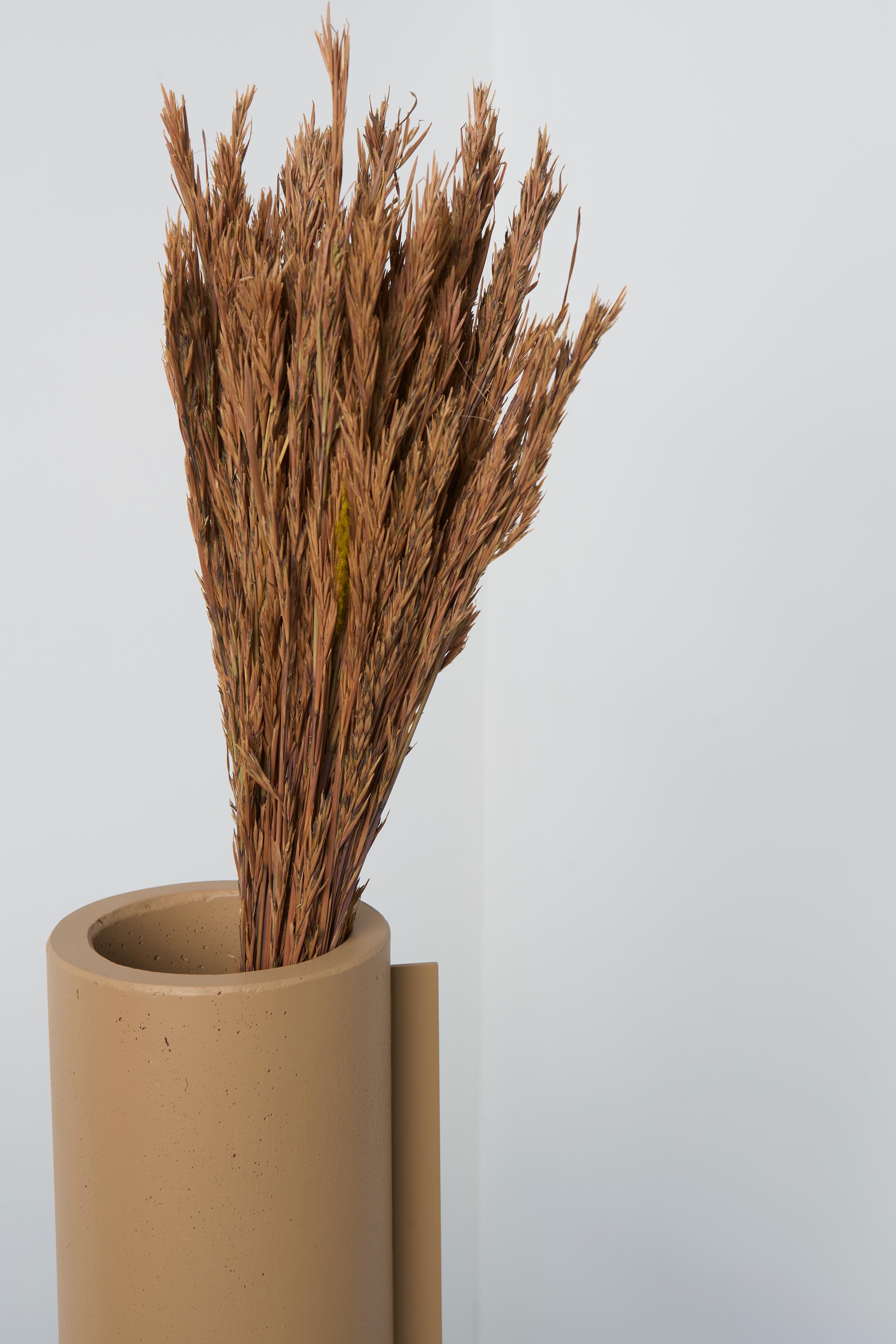 Collection'S, Set di 4 vasi in cemento beige in vendita 3