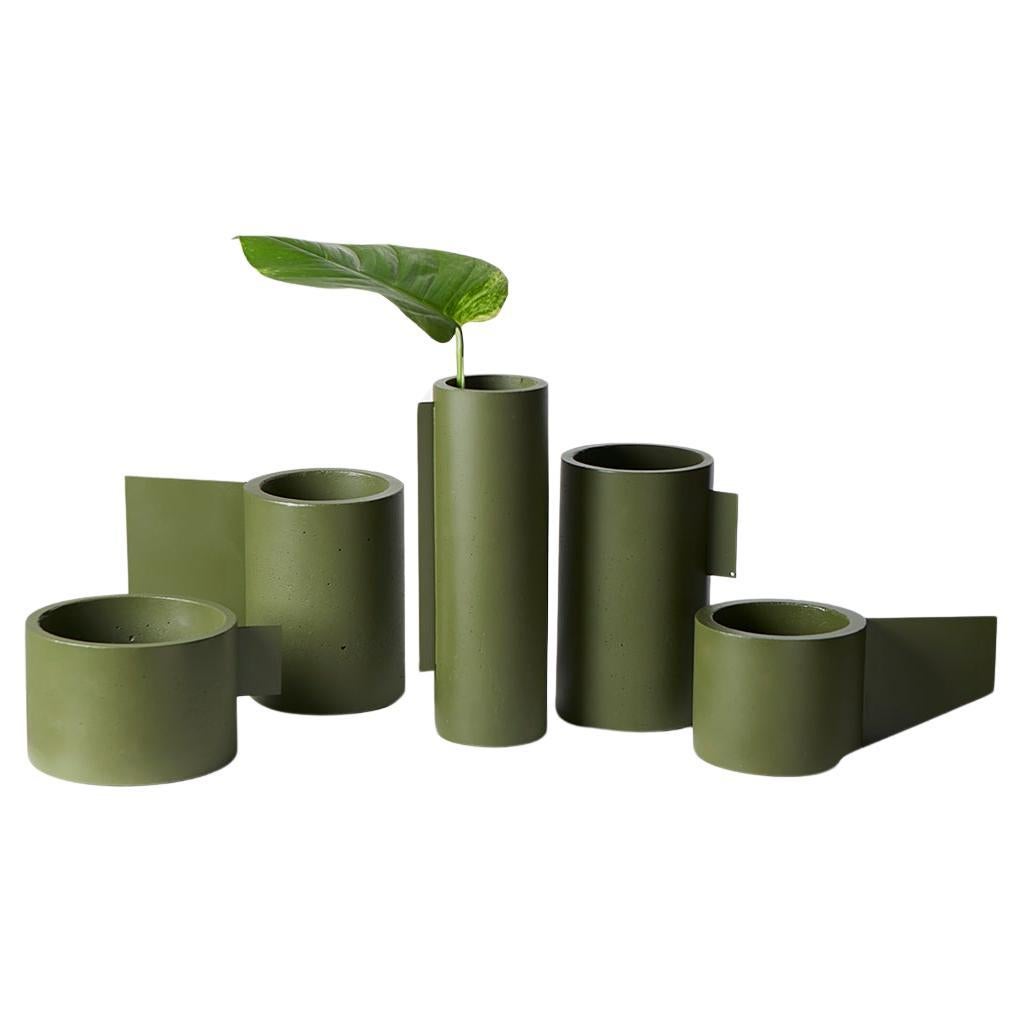 Collection'S, Set di 5 vasi in calcestruzzo verde militare