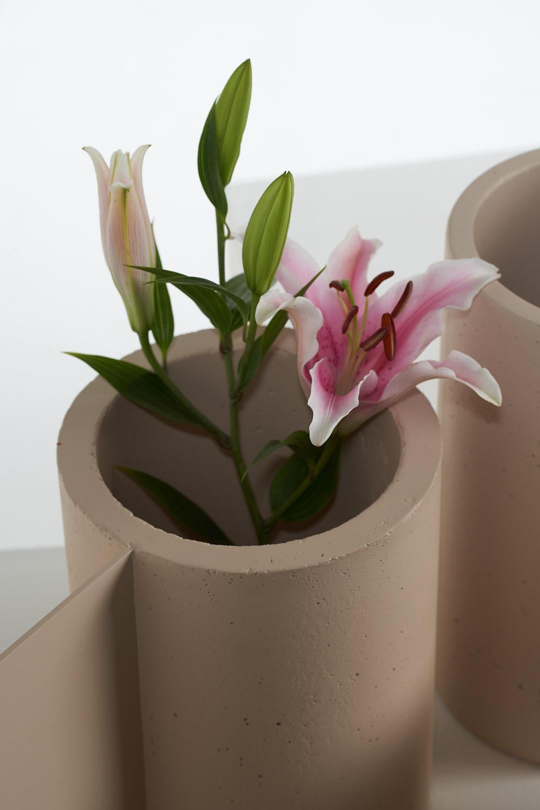 The Collective, ensemble de 5 pots en béton nude en vente 3