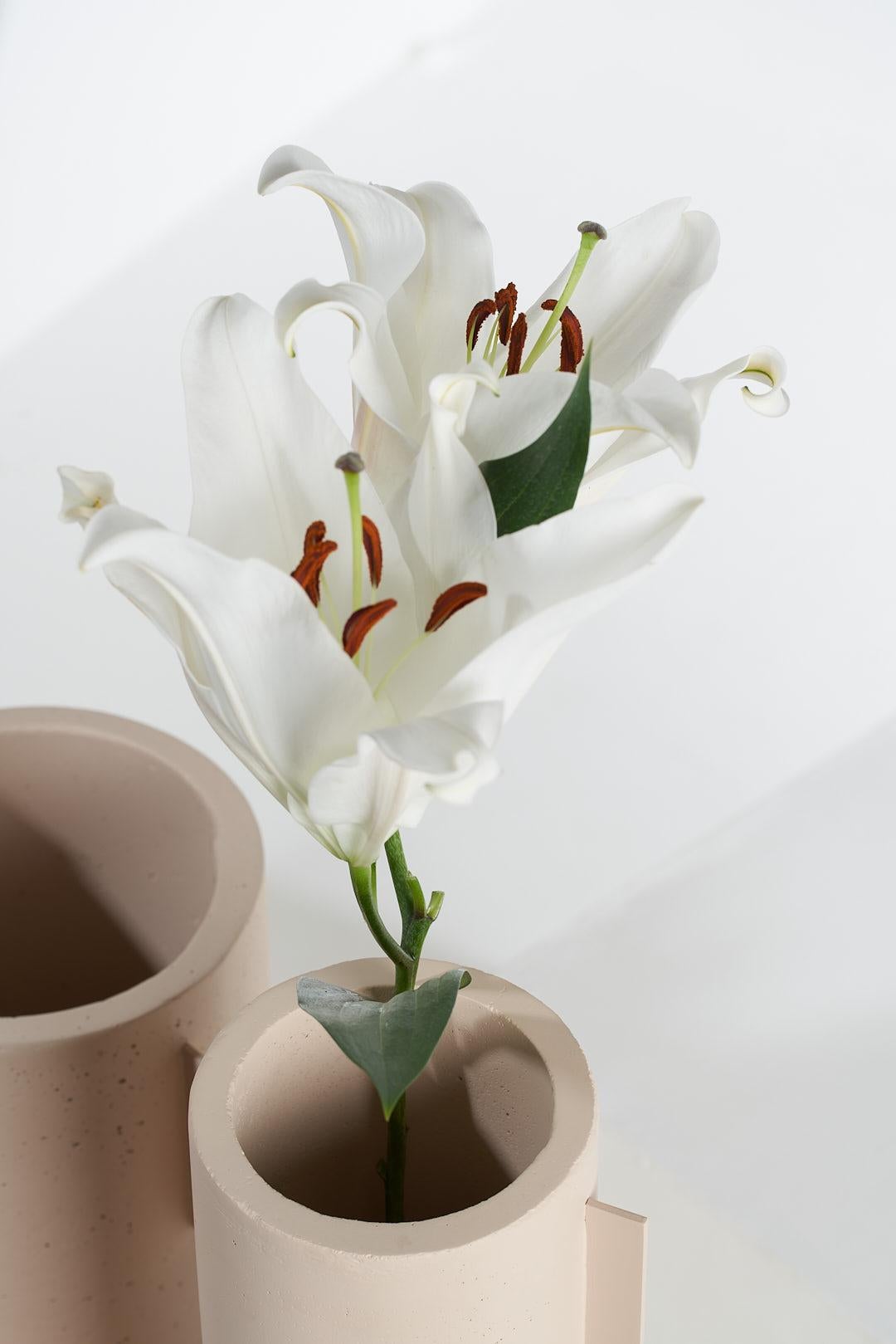 XXIe siècle et contemporain The Collective, ensemble de 5 pots en béton nude en vente