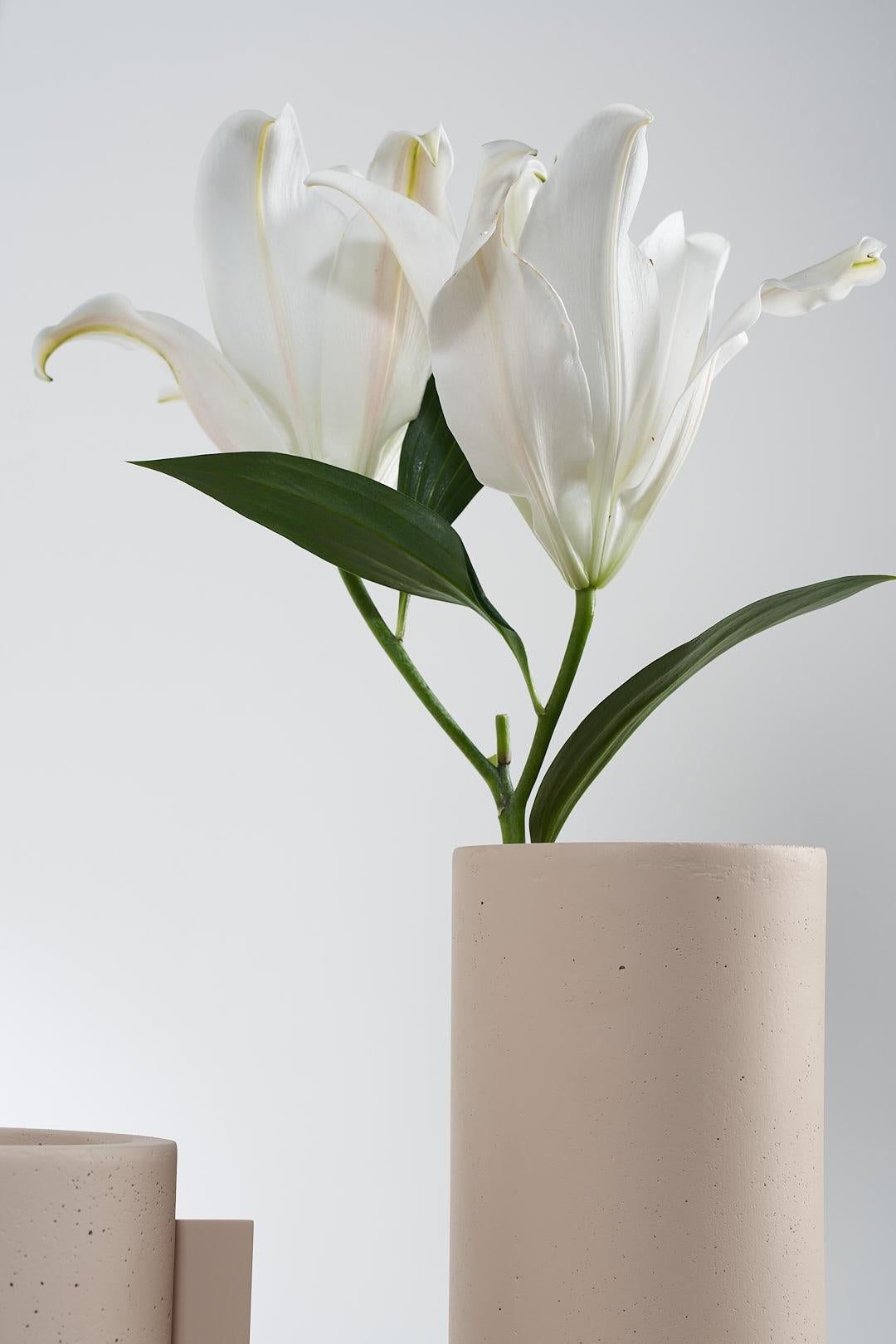 The Collective, ensemble de 5 pots en béton nude en vente 2
