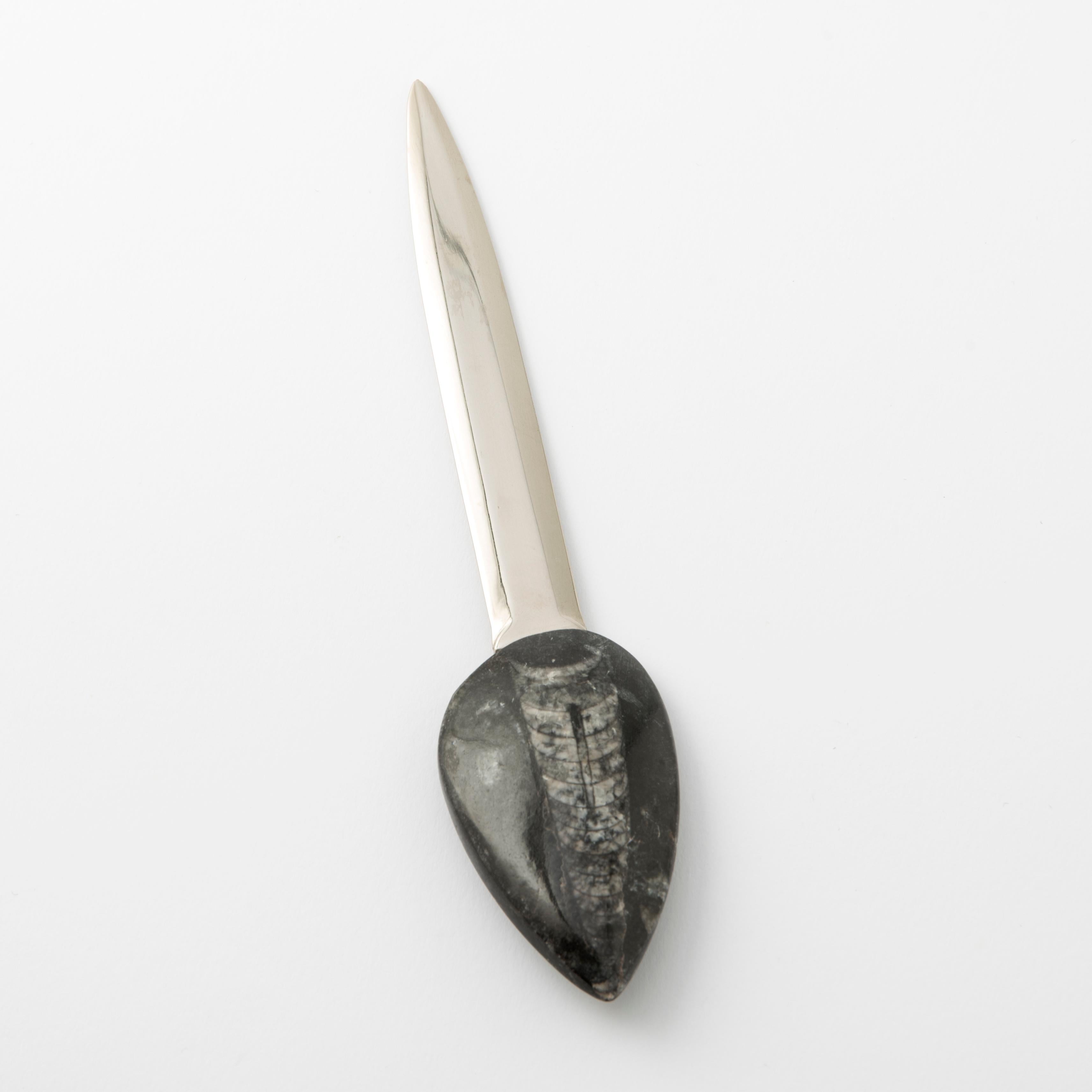 Brieföffner mit gebogener konischer Muschel auf felsigem Untergrund Fossiline Collection (Handgefertigt) im Angebot