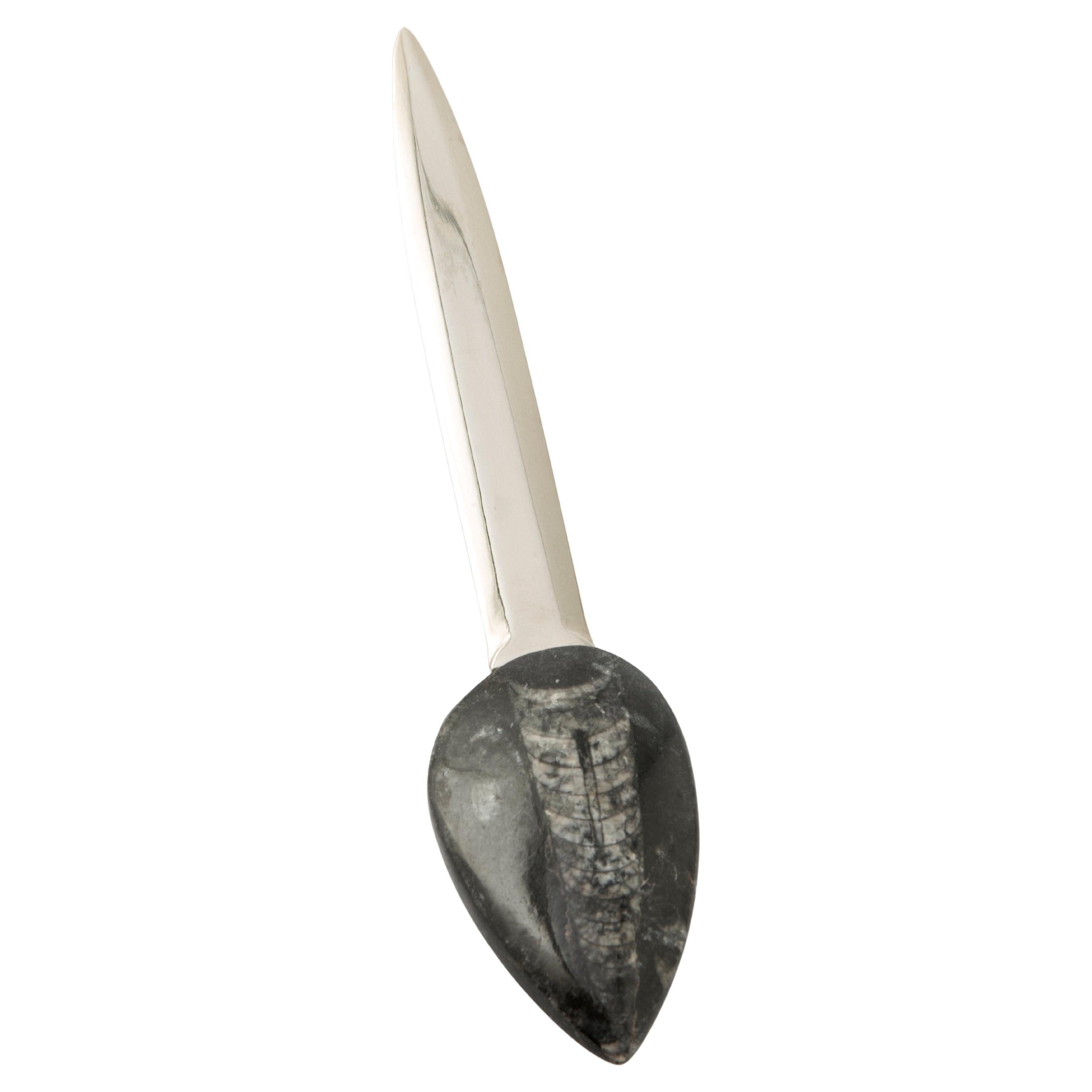 Coupe-papier avec coquille conique incurvée sur base rocheuse Collection Fossiline