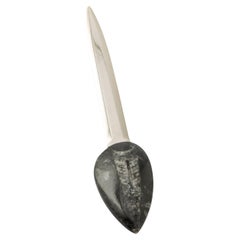 Coupe-papier avec coquille conique incurvée sur base rocheuse Collection Fossiline