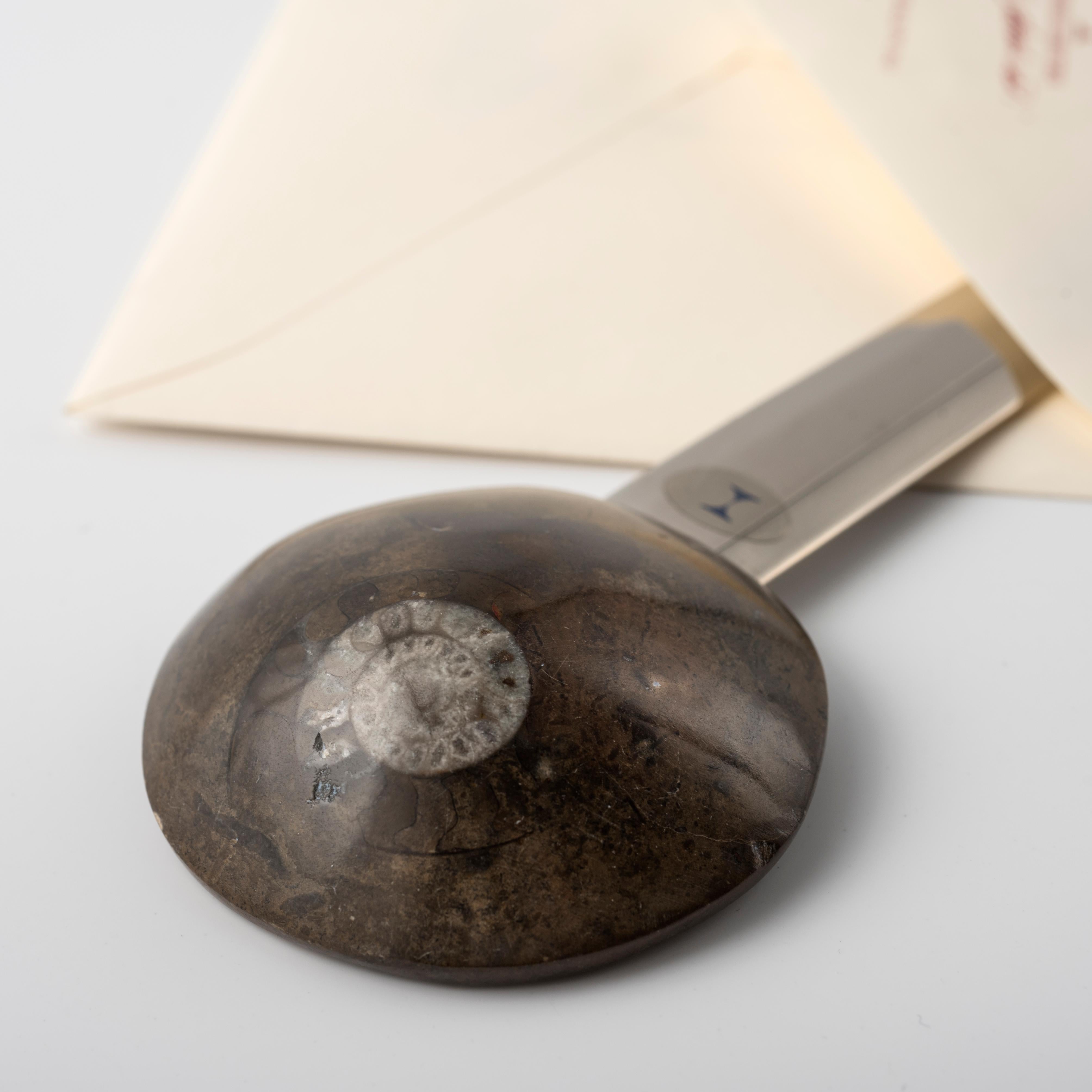 Brieföffner mit echtem Ammoniten - Fossiline Kollektion von Nino Basso (Verzinkt) im Angebot