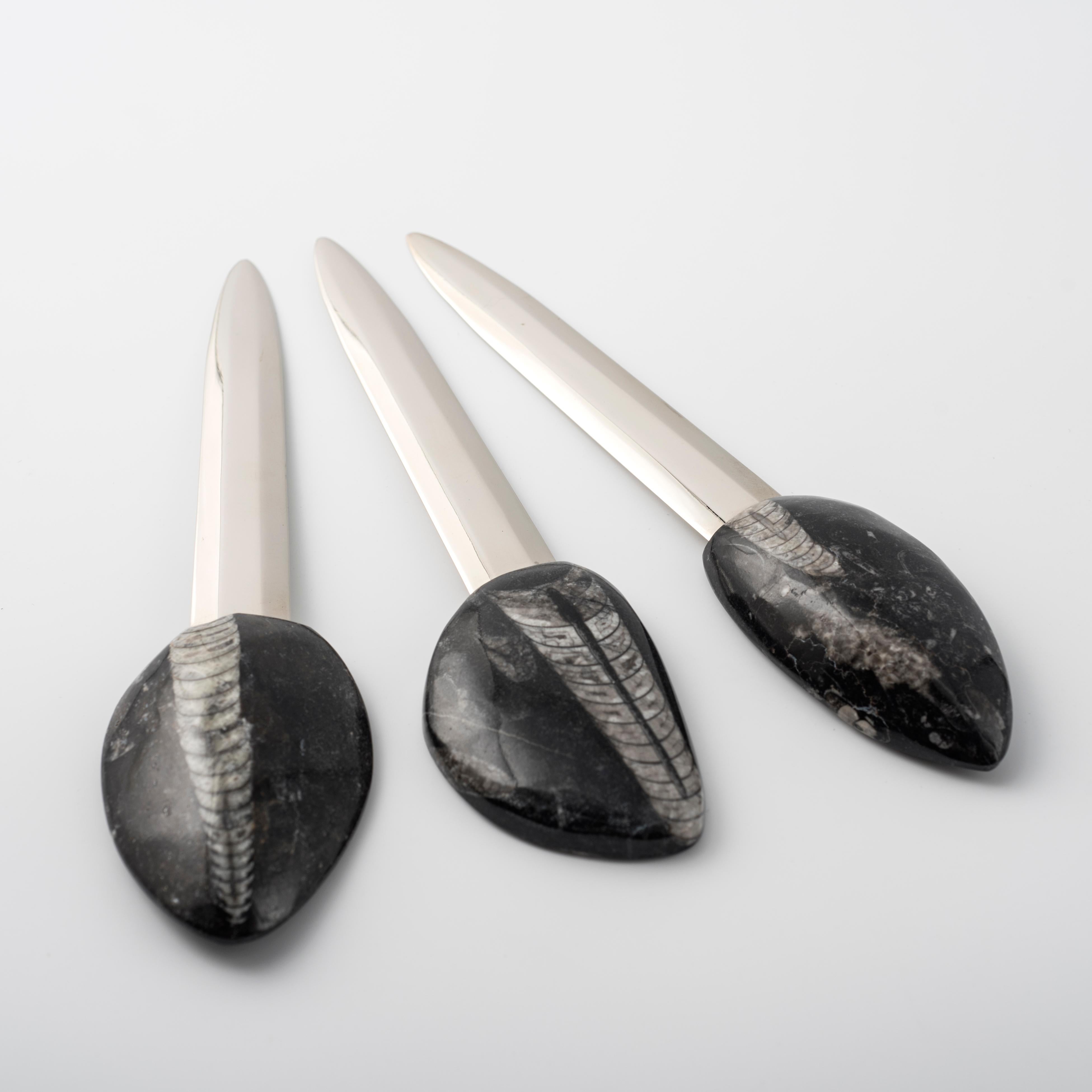 MODERN DESIGN PAPIERSCHNEIDER authentischer Griff  ammonit Orthoceras Nautiloides (Abgeschrägt) im Angebot