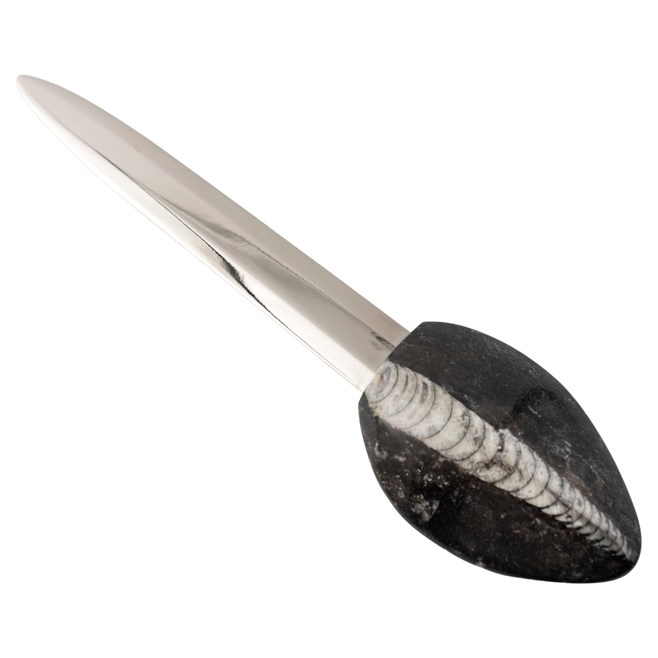 MODERN DESIGN PAPER CUTTERS authentic ammonite handle Orthoceras  Nautiloid
