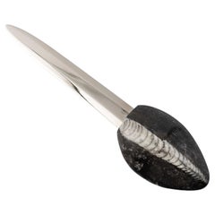 MODERN DESIGN PAPER CUTTERS authentic ammonite handle Orthoceras  Nautiloid