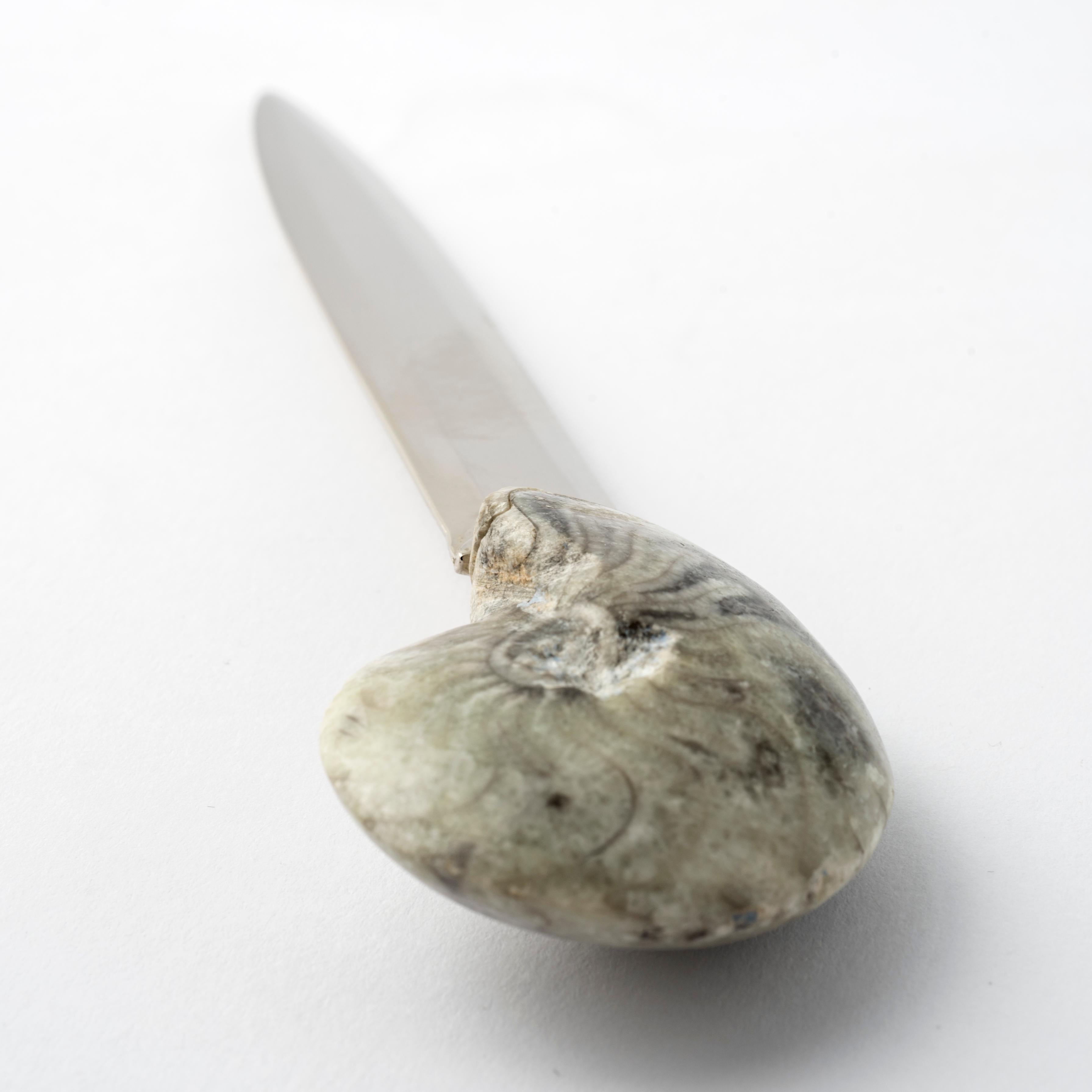 Manticoceras Authentic Fossil Brieföffner - Einzigartiges und exklusives Design (Verzinkt) im Angebot
