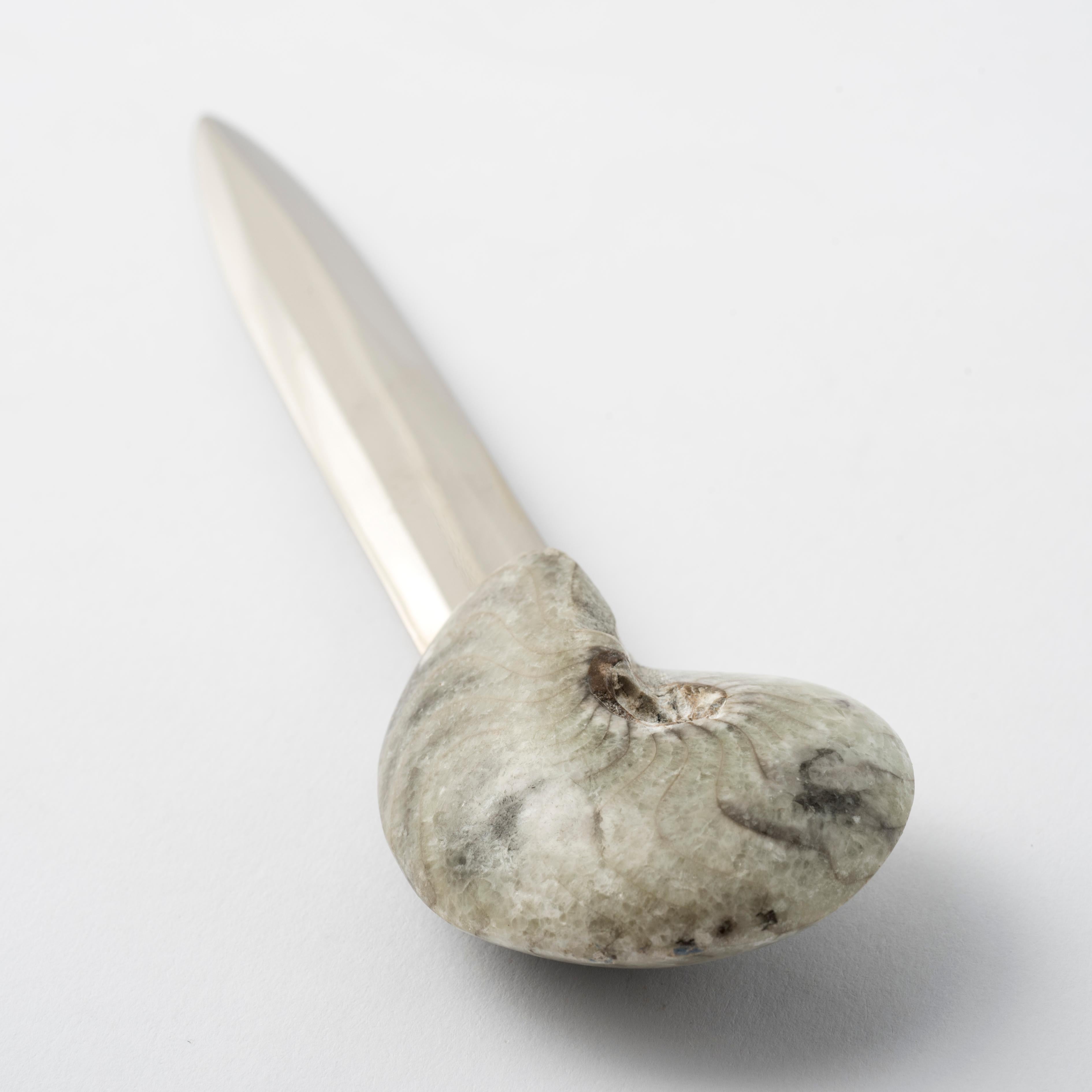 Manticoceras Authentic Fossil Brieföffner - Einzigartiges und exklusives Design im Zustand „Neu“ im Angebot in Spilimbergo, IT