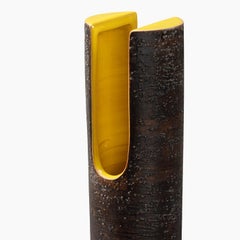 Tagliata Series Black Vase by Aldo Londi #2