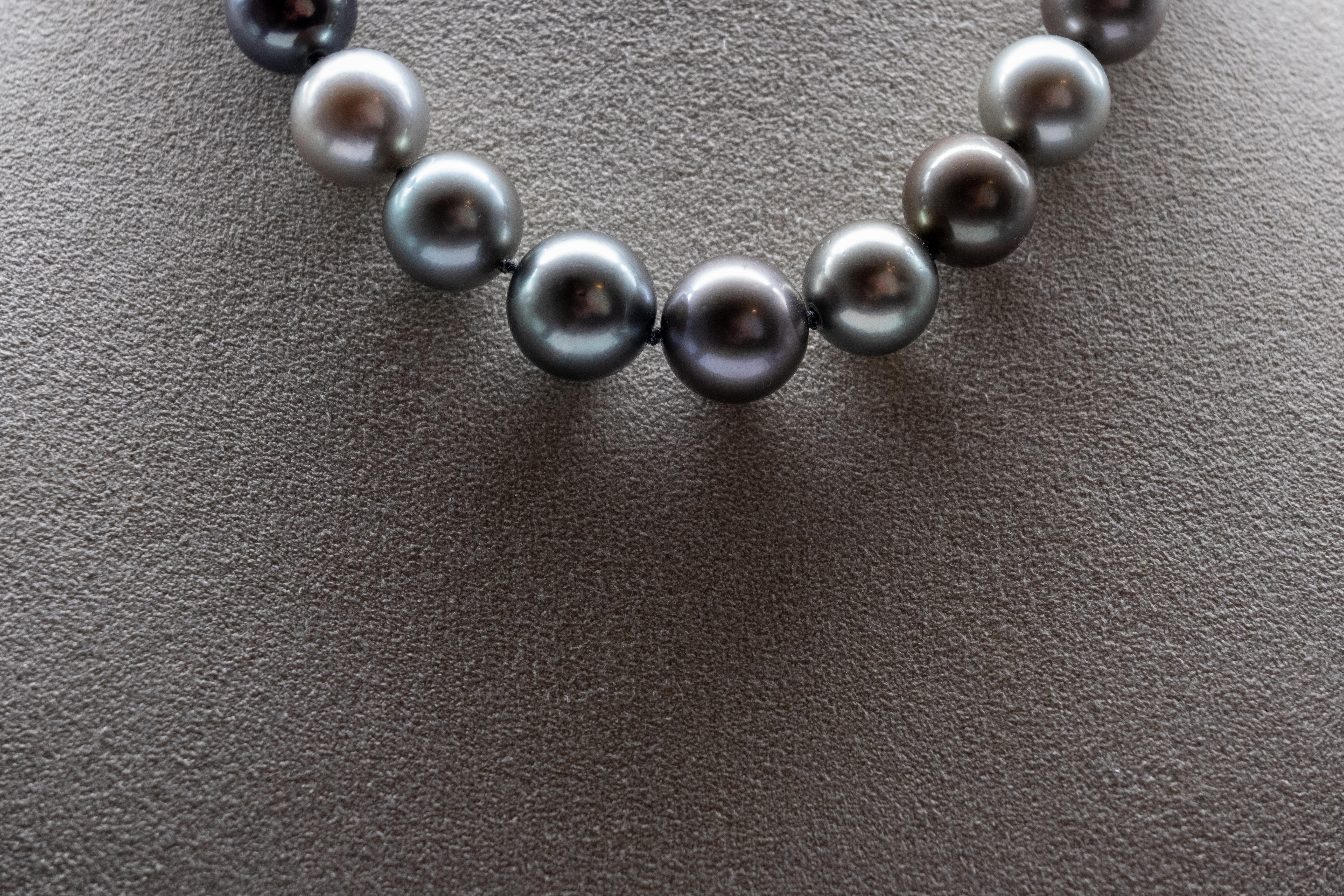 Our Tahiti Necklace, with pearl sizes from 14mm to 12mm, embodies sophistication and natural beauty. Composed of 31 carefully selected AAA pearls, this necklace reveals luxury and quality.

Tahitian pearls, renowned for their deep luster and