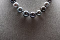 Tahitian Pearl Necklace, 31 AAA Pearls, 18K White Gold Clasp, 42cm