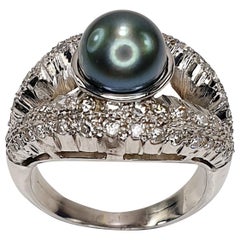 Tahiti Pearl Shell Ring in 18 Karat White Gold and Diamonds