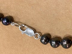 Tahitian 8-10mm Pearl Set: Stud Earrings & Pearl Strand Necklace (18 inches)