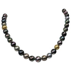 Tahitian and Golden South Sea Multi Color Necklace with Gold Clasp